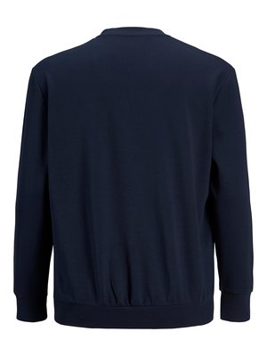 Sweatshirt-aus-einem-Baumwollmix-