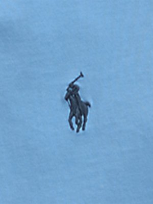 T-Shirt aus Baumwolle mit Poloreiter-Stickerei