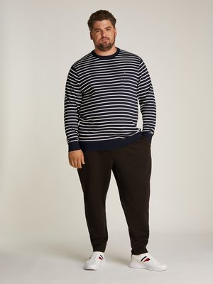 Cotton sweater with stripes and embroidered logo