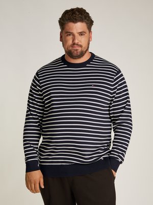 Cotton sweater with stripes and embroidered logo