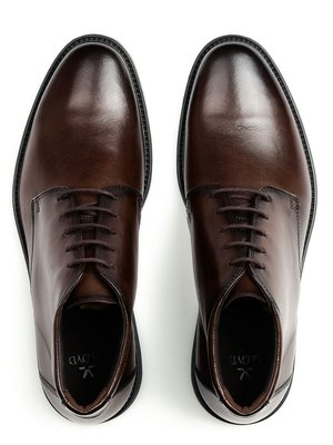 An overhead shot of two brown leather men's dress shoes. Each shoe has laces, a rounded toe, and a black sole. The brand "LOYD" with a stylized icon is visible on the inner sole of each shoe.