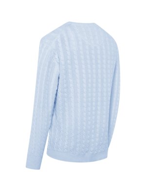 Hellblauer Pullover mit Zopfmuster, auf weißem Hintergrund. Der Pullover hat lange Ärmel, einen Rundhalsausschnitt und einen gerippten Saum. Das Zopfmuster bedeckt den gesamten Pullover. Die linke Schulter und ein Teil des Rückens sind zu sehen.