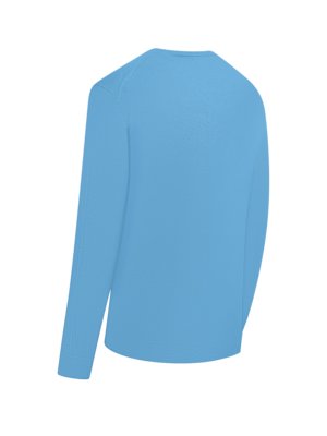 Ein hellblaues Sweatshirt, das vor weißem Hintergrund von hinten betrachtet wird. Der Rundhalsausschnitt und die Ärmel sind klar erkennbar. Das Kleidungsstück scheint aus einem glatten Stoff zu sein.