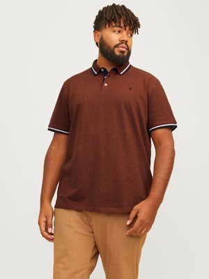 Softes Poloshirt aus Baumwolle mit Streifenakzenten