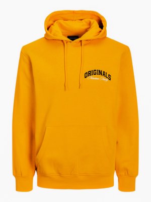 Hoodie with lettering on the chest